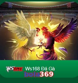 bola369